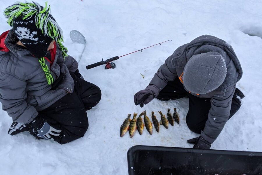 Two individuals dressed in winter clothing are ice fishing on a serene lake in New Jersey. Seated on the snow, they inspect a row of six fish they have caught and laid out in front of them.