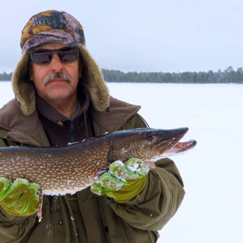 A person bundled in winter gear and sunglasses proudly holds a large fish, standing on a snowy landscape popular for ice fishing in North Dakota.