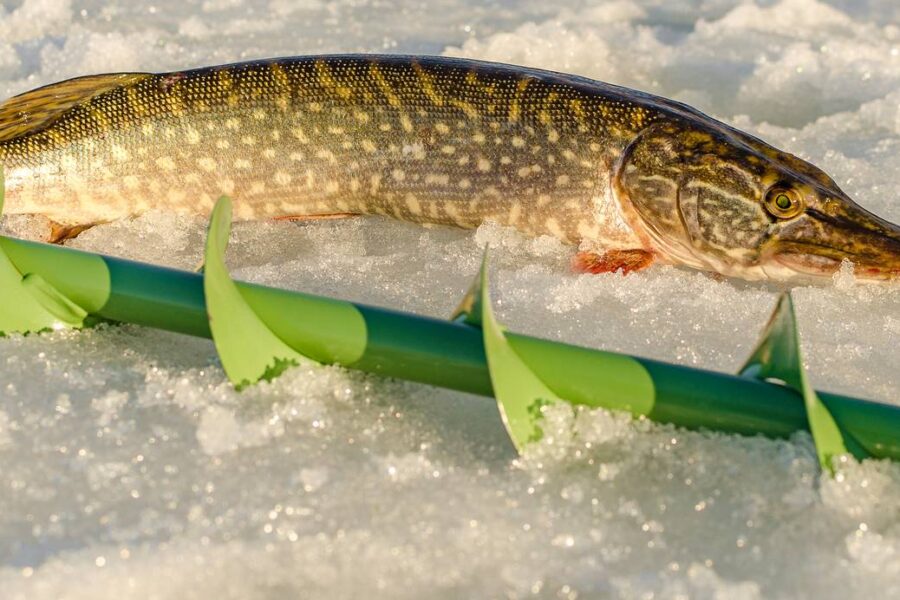 A fish lies on the ice next to a green ice fishing auger, capturing the essence of an Alaskan lake adventure.