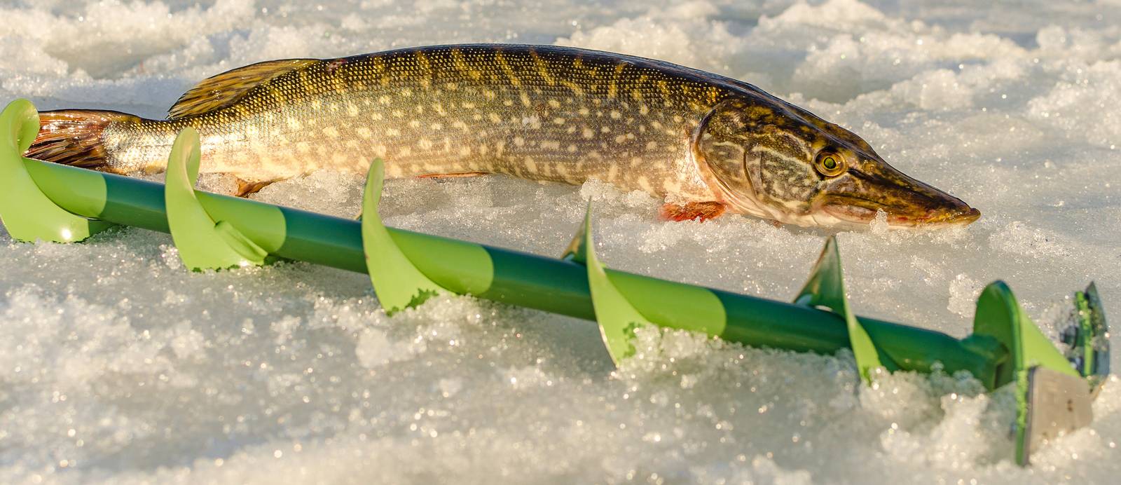 The Best Ice Fishing Lakes in Alaska: The Last Frontier